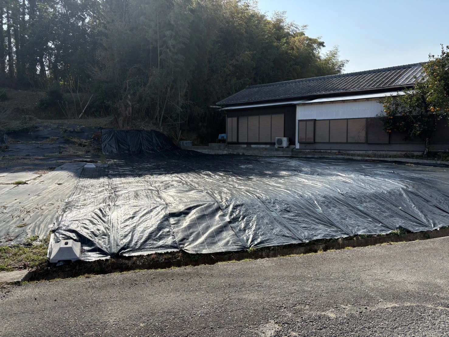 施工事例　除草２