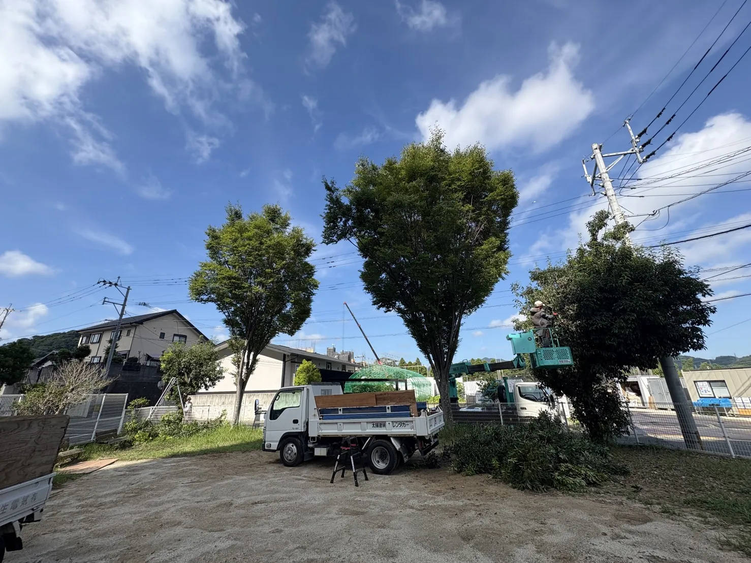 施工事例　高木の剪定　高所作業車１