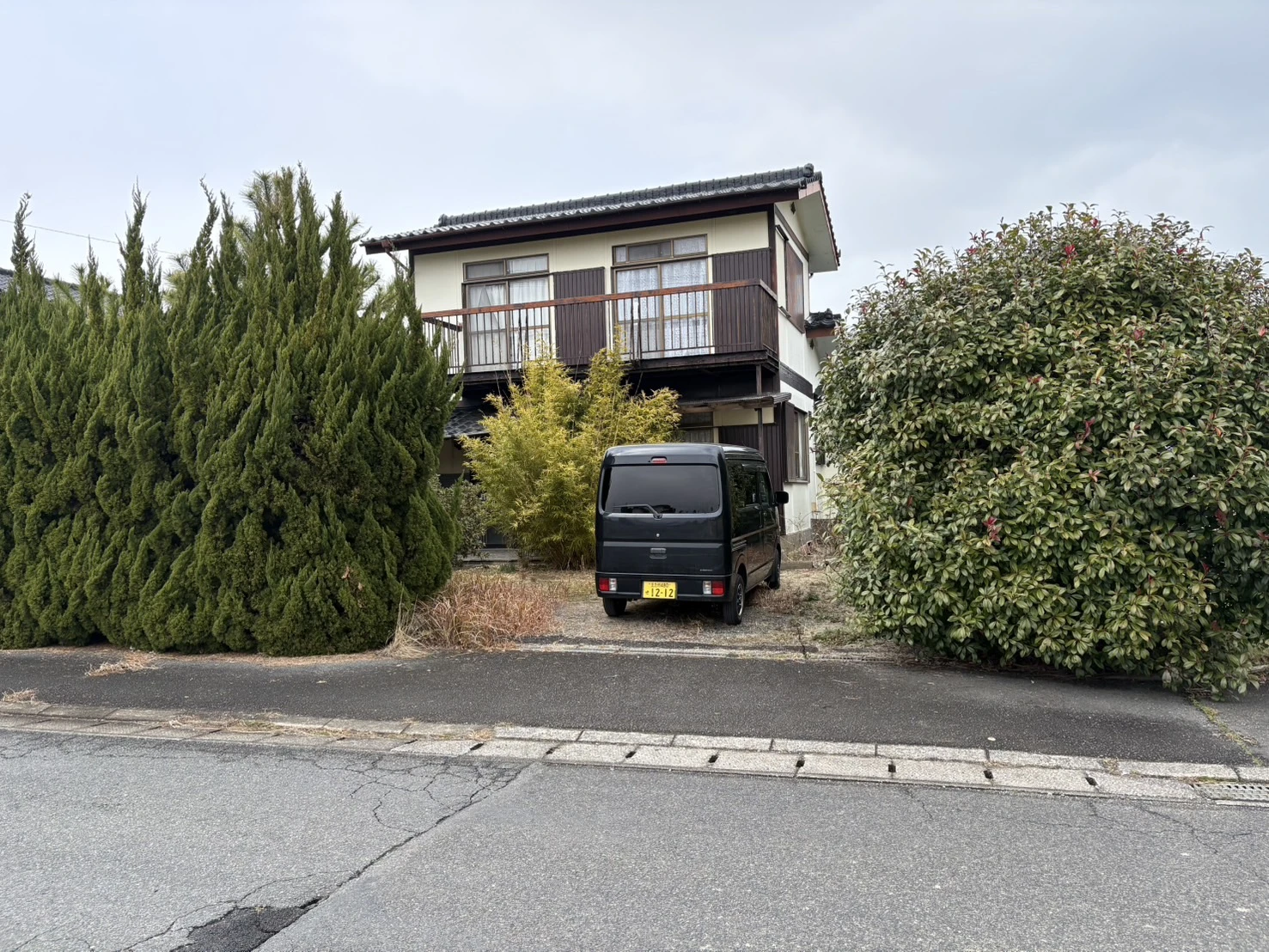 施工事例　庭木の剪定２