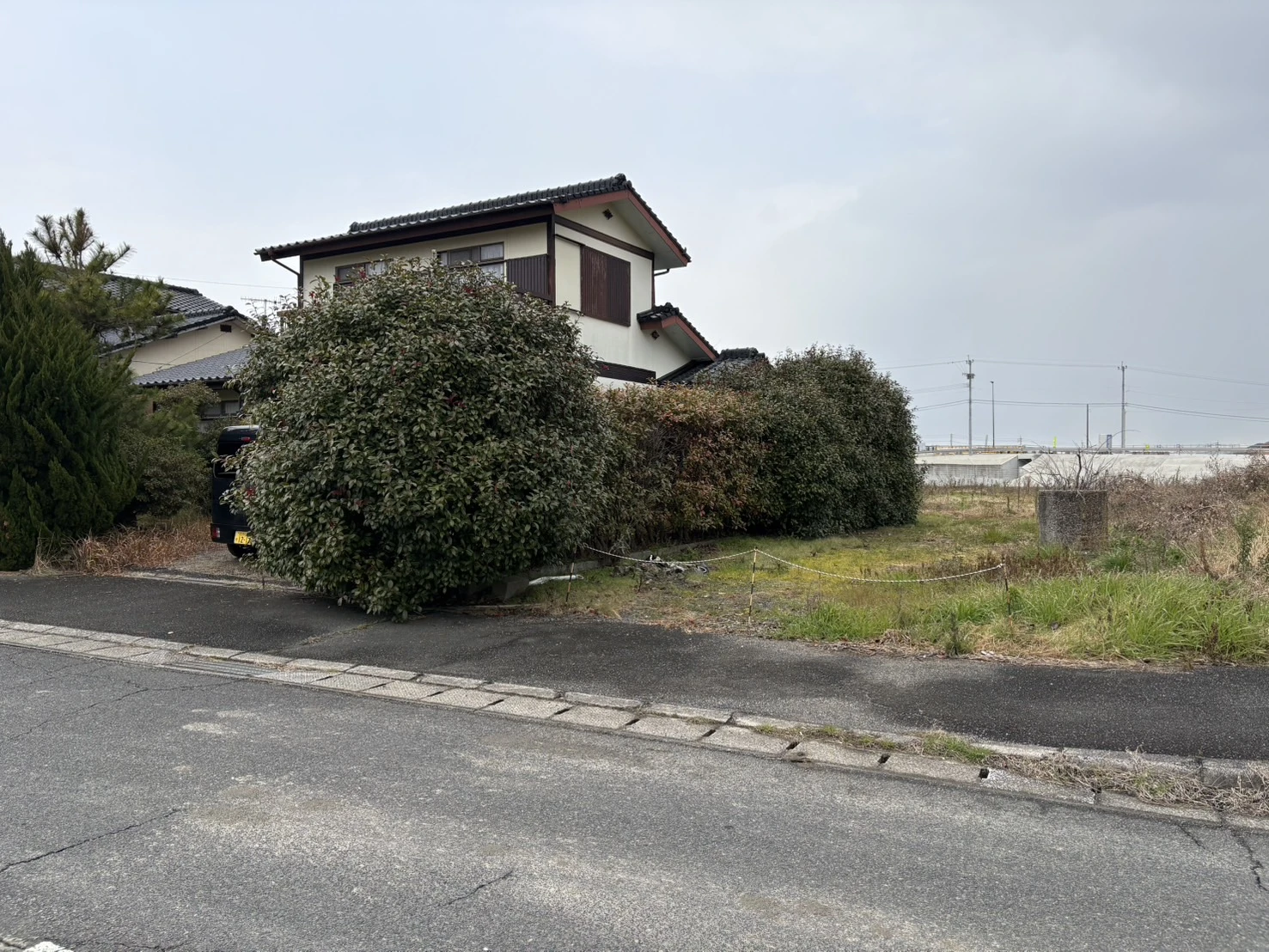 施工事例　庭木の剪定１