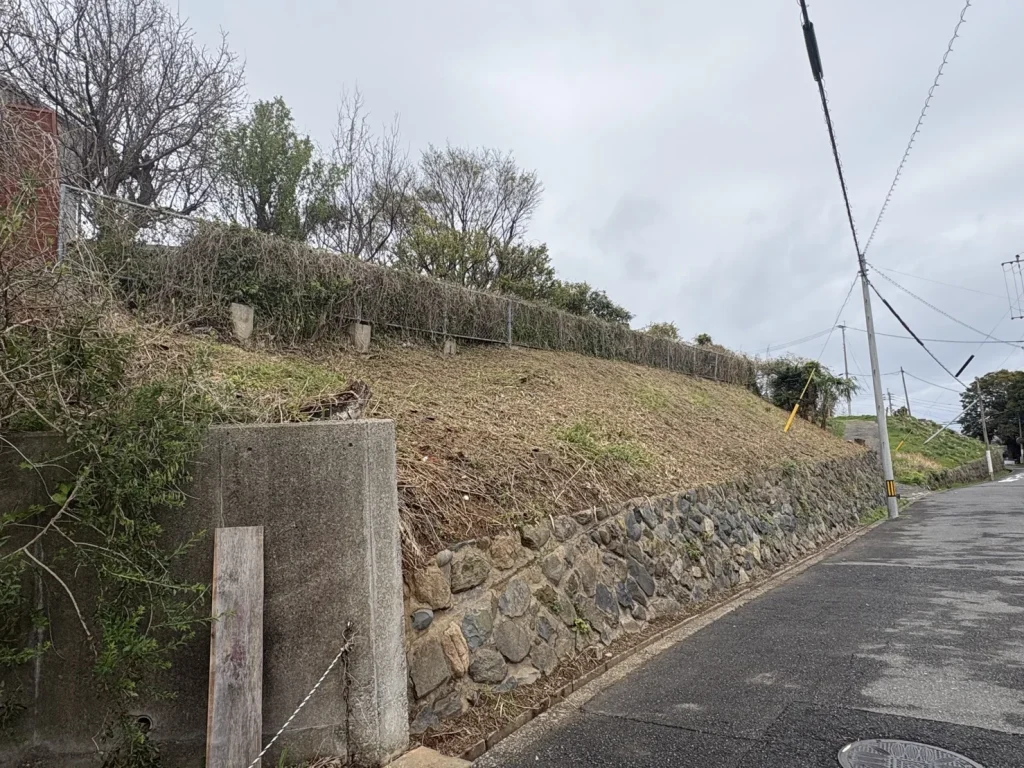 北九州市若松区　法面の草刈りと危険木の伐採アフター