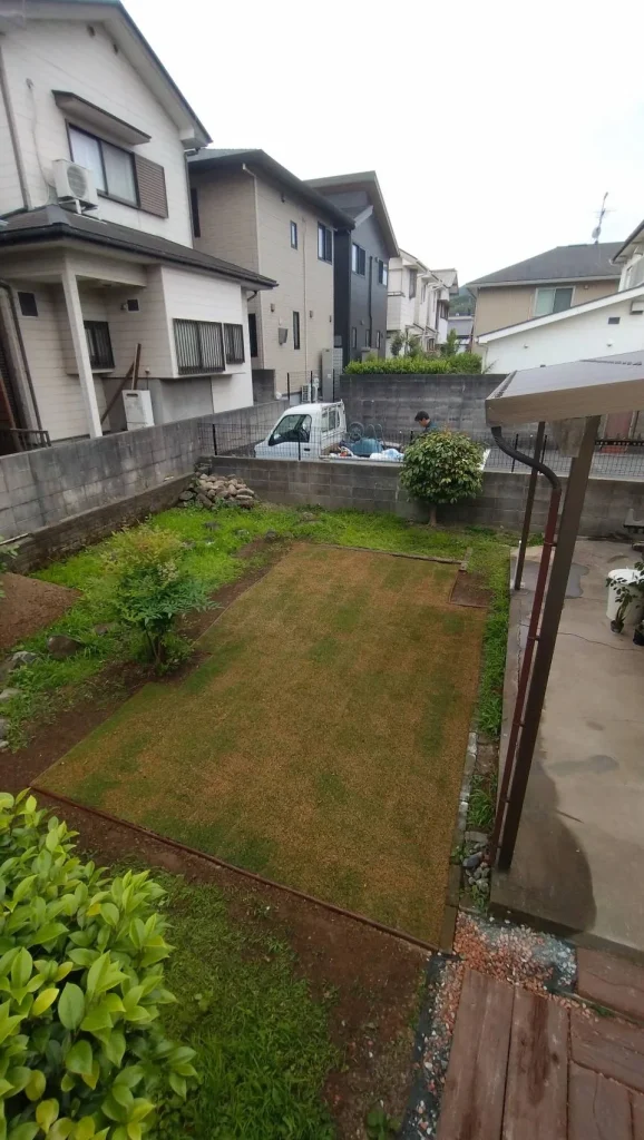 芝張り作業店舗様八幡東区202605アフター
