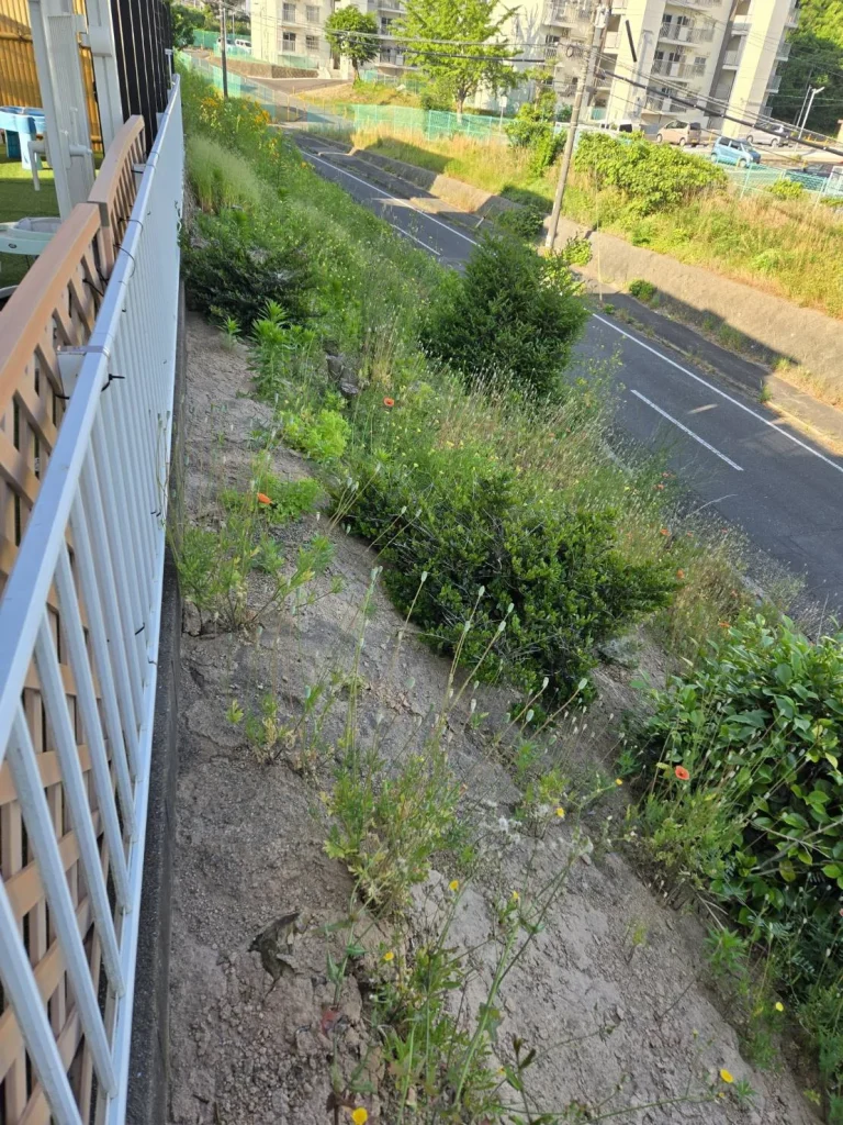 北九州市八幡西区浅川日の峯で施工前の擁壁上法面の様子