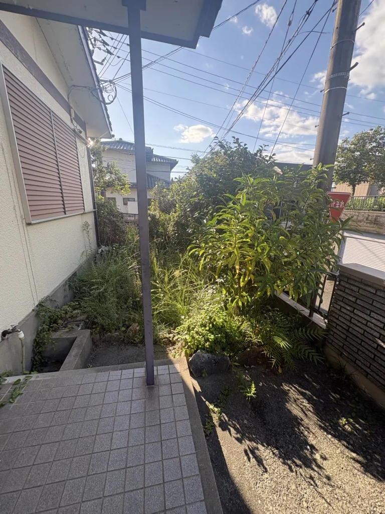 住宅玄関周辺に雑草や植栽が生い茂った状態
